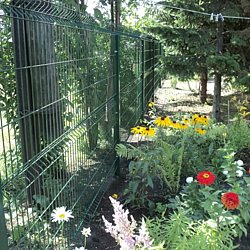 Металлические панельные заборы